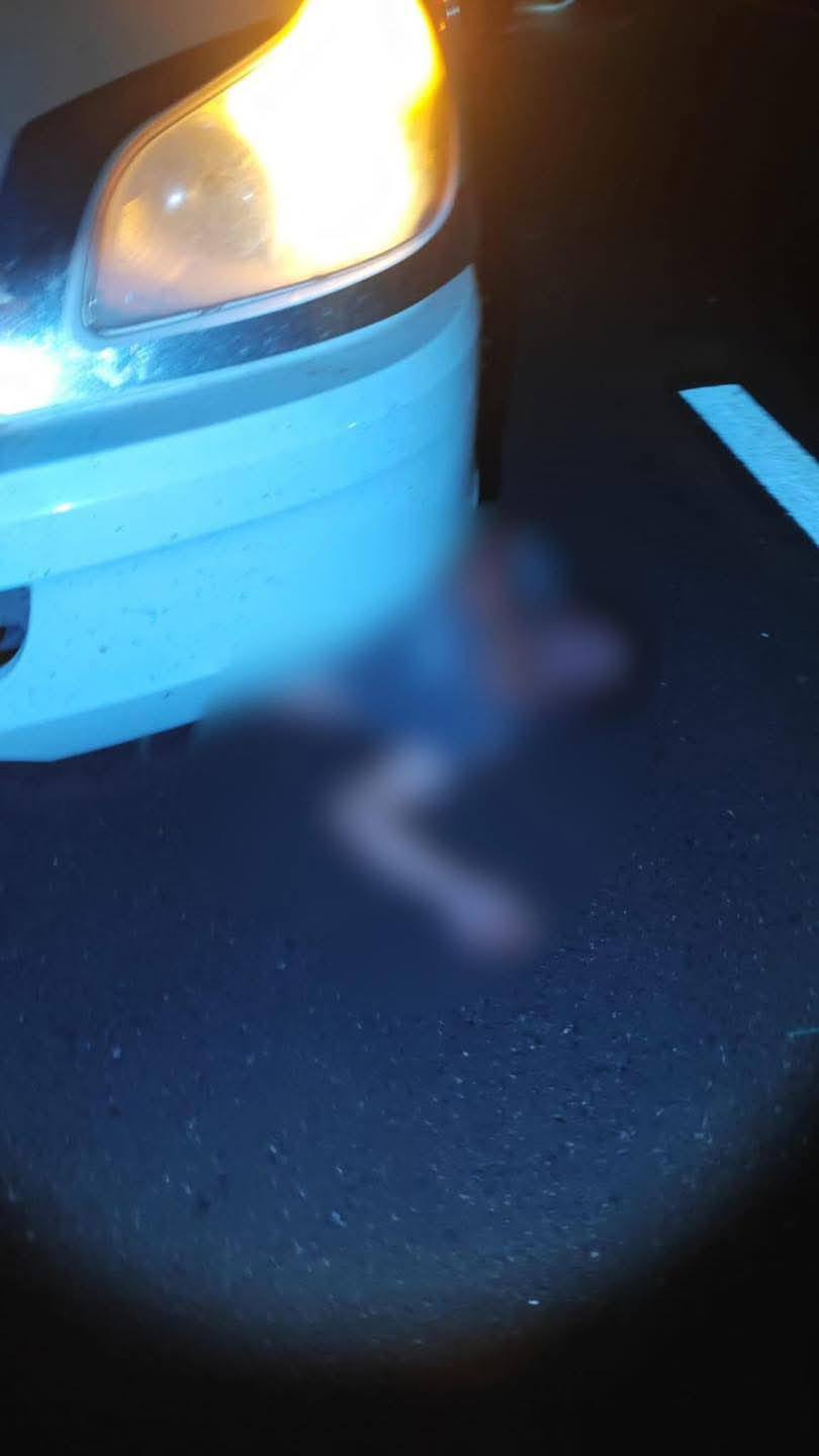 Hermanos pierden la vida tras accidente con tráiler en Ursulo Galván. Noticias en tiempo real